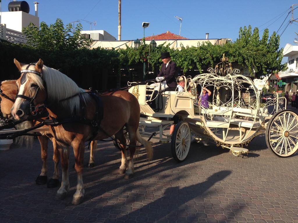 הרסוניסוס Arion Stables & Apartments מראה חיצוני תמונה