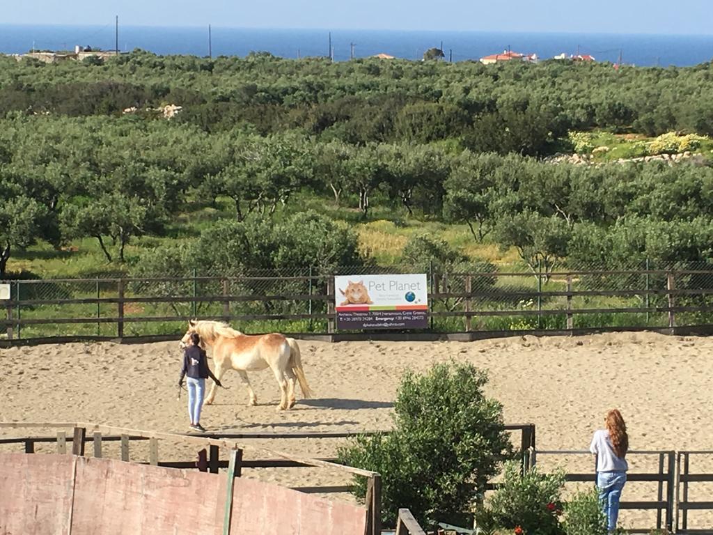 הרסוניסוס Arion Stables & Apartments מראה חיצוני תמונה